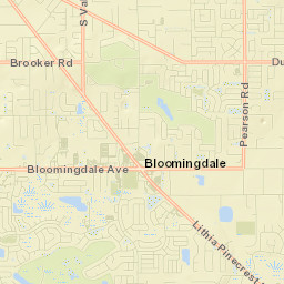 Bloomingdale Street Map