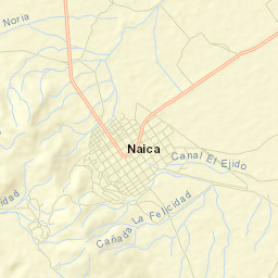 Naica Street Map