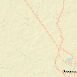 Gopamau Street Map