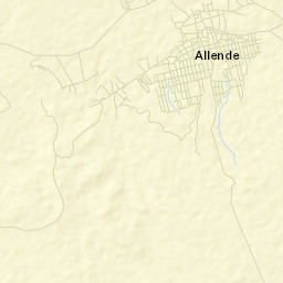 Valle de Allende Street Map
