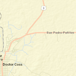 Doctor Coss Nuevo León Street Map