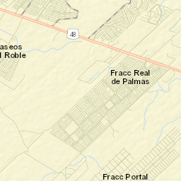 Fraccionamiento Real Palmas Street Map