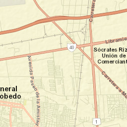 General Escobedo Street Map