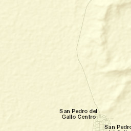 San Pedro del Gallo Street Map