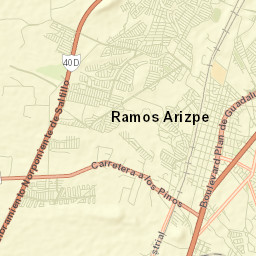 Ramos Arizpe Street Map