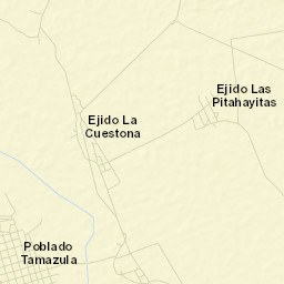 Tamazula Street Map