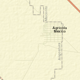 Colonia Agrícola México (Palmitas) Street Map