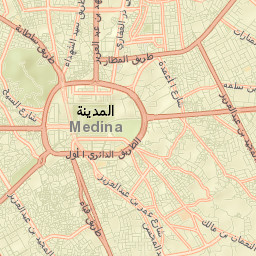 Medina Street Map