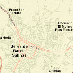 Jerez de García Salinas Street Map
