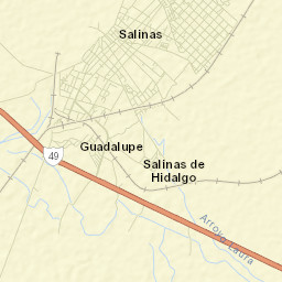 Salinas de Hidalgo Street Map