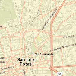 San Luis Potosí Street Map