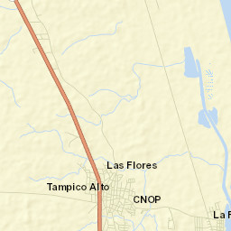 Tampico Alto Street Map