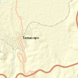 Tamasopo Street Map