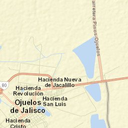 Ojuelos de Jalisco Street Map