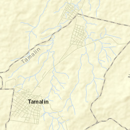 Tamalín Street Map