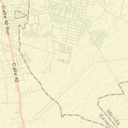 Leona Vicario Street Map