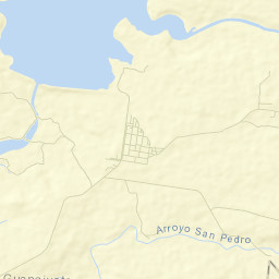 Zangarro (Zangarro Nuevo) Street Map