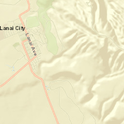 Lanai City Street Map