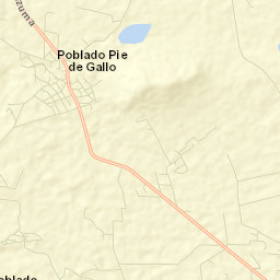 Pie de Gallo Street Map