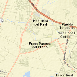 Altus Bosques Street Map