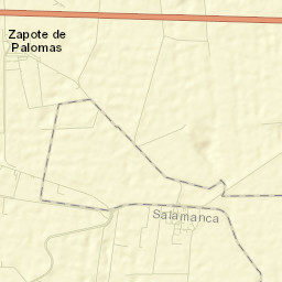 Zapote de Palomas Street Map