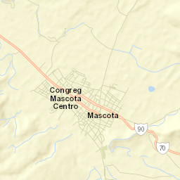 Mascota Municipality Street Map