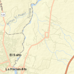 El Salto Municipality Street Map