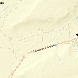 Ayotlán Municipality Street Map