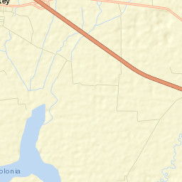 Zapotlán del Rey Street Map