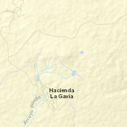 La Gavia Street Map