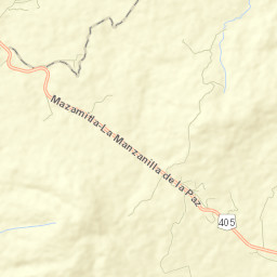 Amacueca Municipality Street Map