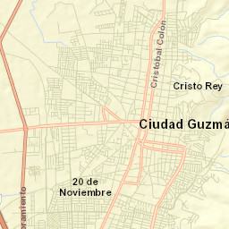 Zapotlán El Grande Municipality Street Map