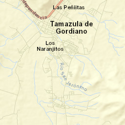 Tamazula de Gordiano Street Map