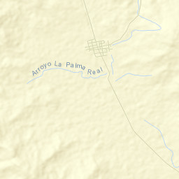 Palmas de Abajo Street Map