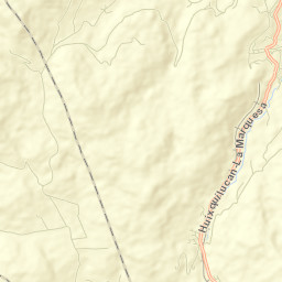 Ignacio Allende Street Map