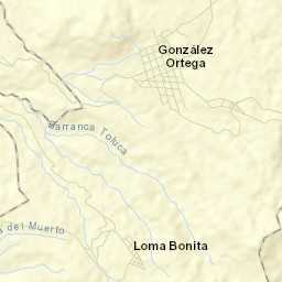González Ortega Street Map