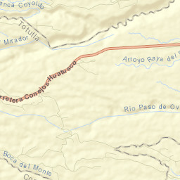 Coyolito Street Map