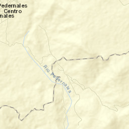 Pedernales Street Map