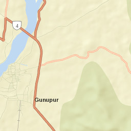 Gunupur Street Map