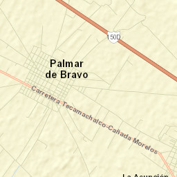 Palmar de Bravo Street Map