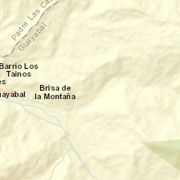 El Guayabal Street Map