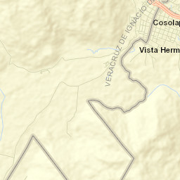Cosolapa Street Map