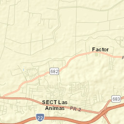 Animas Street Map