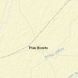 Cosamaloapan de Carpio Street Map