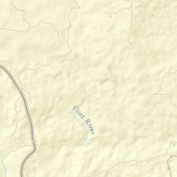 Flint River Street Map