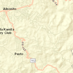 Aibonito Street Map