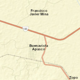 Buena Vista (Apasco) Street Map