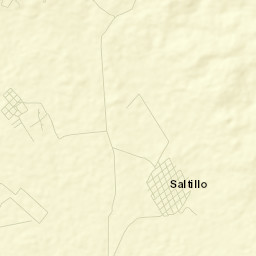 Saltillo Street Map