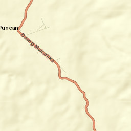 Puncan Street Map