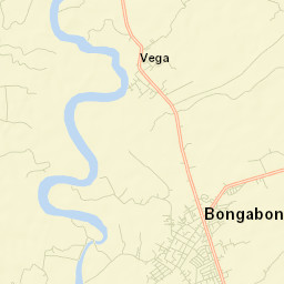 Bongabon Street Map